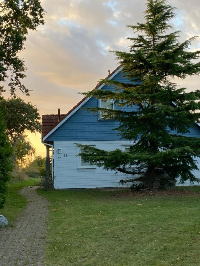 Freistehendes Einfamilienhaus Mit Boddenblick Naehe Ostsee Fuhlendorf  Esterno foto